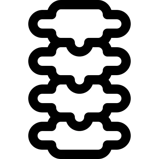 Spine