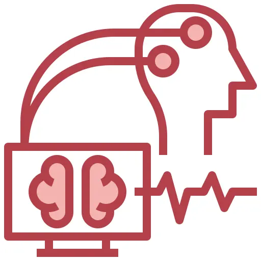 Brain