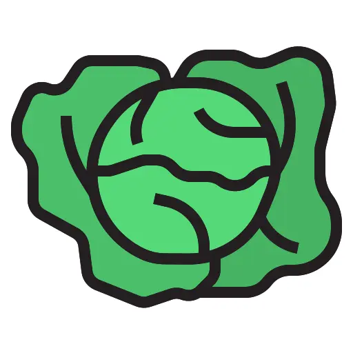 Cabbage
