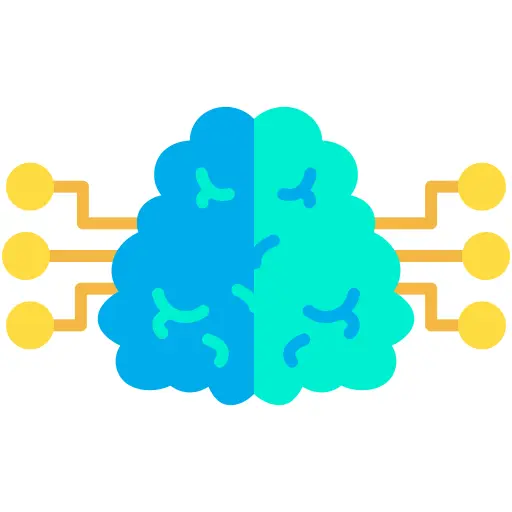 Brain