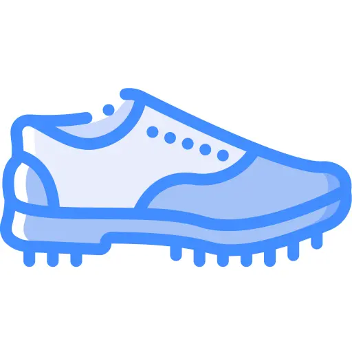 Shoe