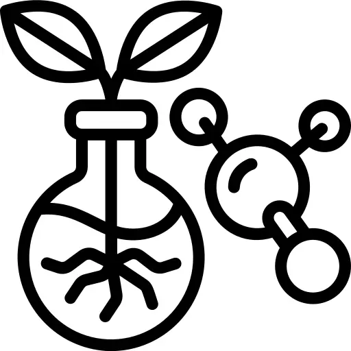 Lab