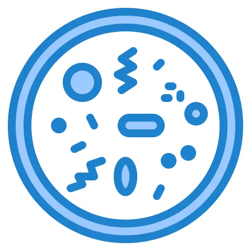 Bacteria