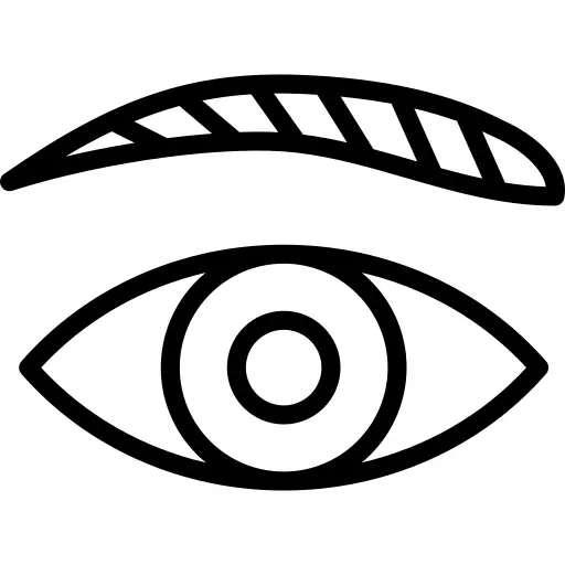 眼睛