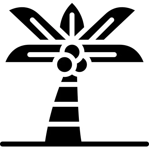 棕榈树