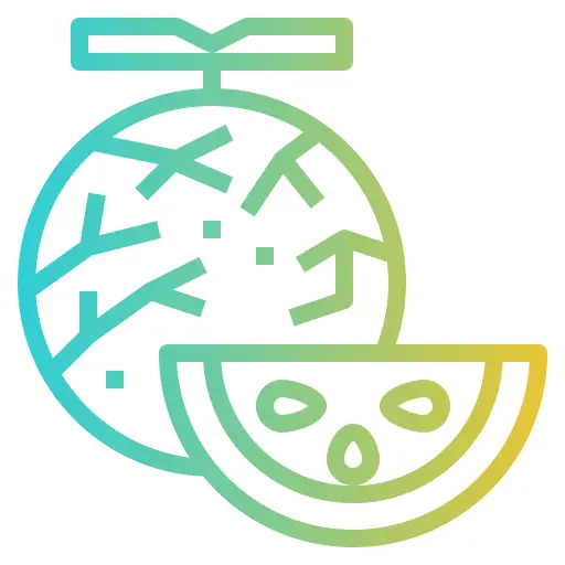 Melon