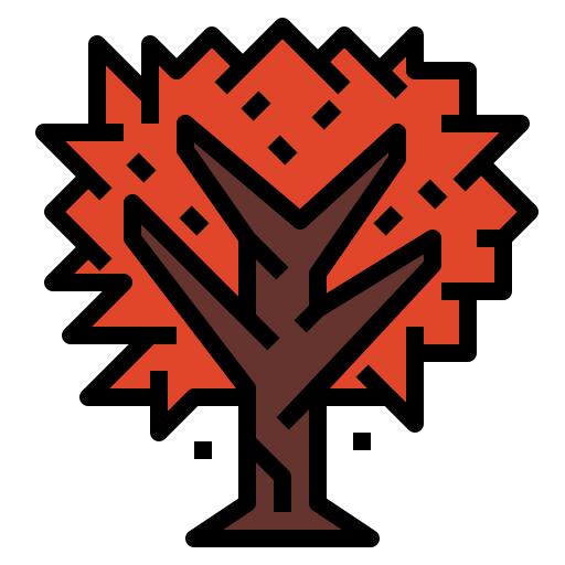 Maple