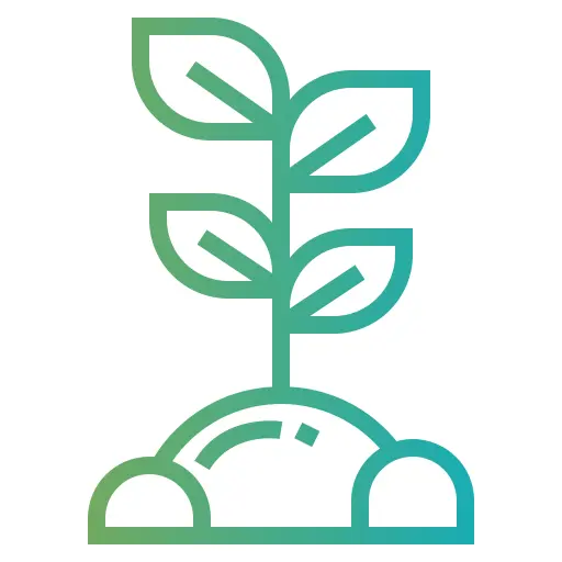 Sprout