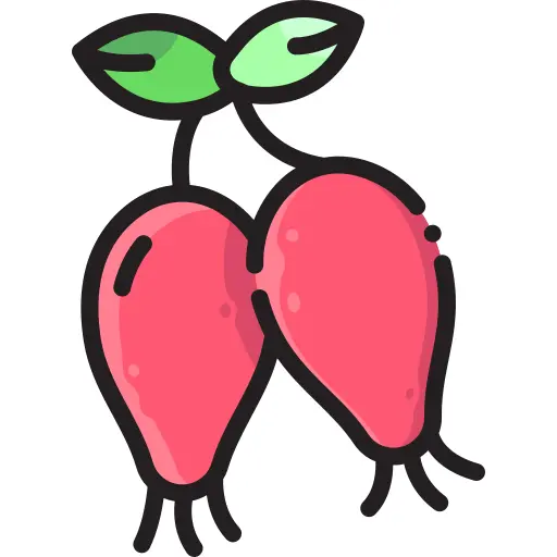 Rosehip