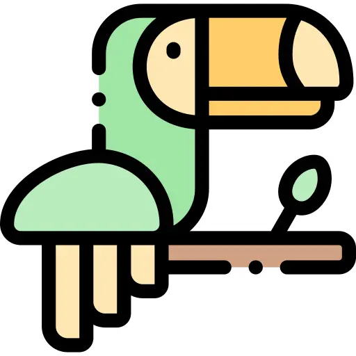 Toucan