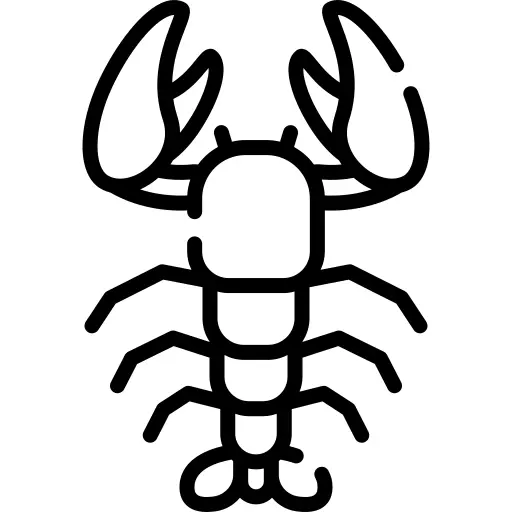 Lobster