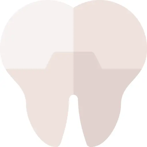 Teeth