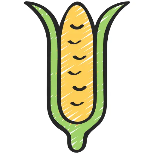Corn