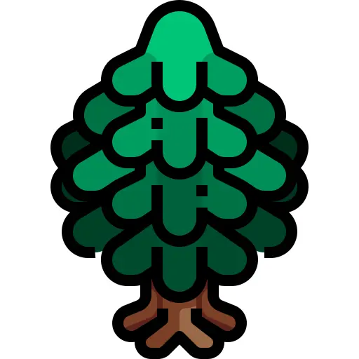 松树