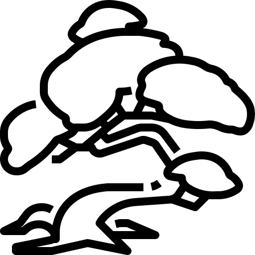 盆栽