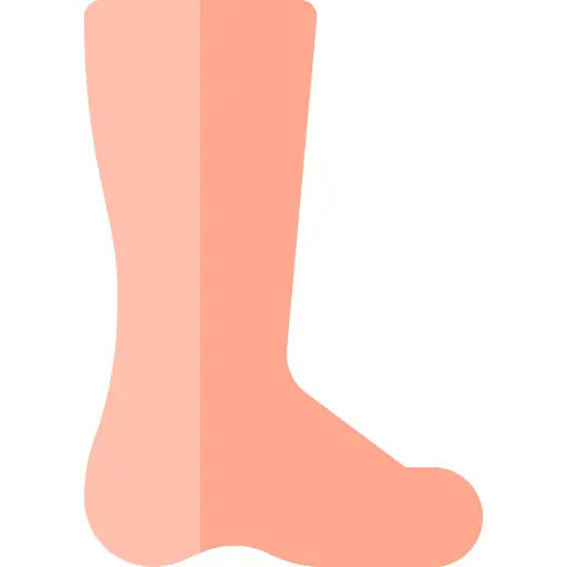 Foot