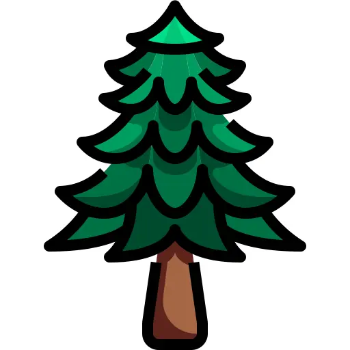 Pine tree