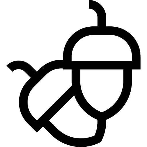 Acorn