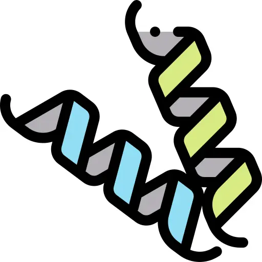 Protein