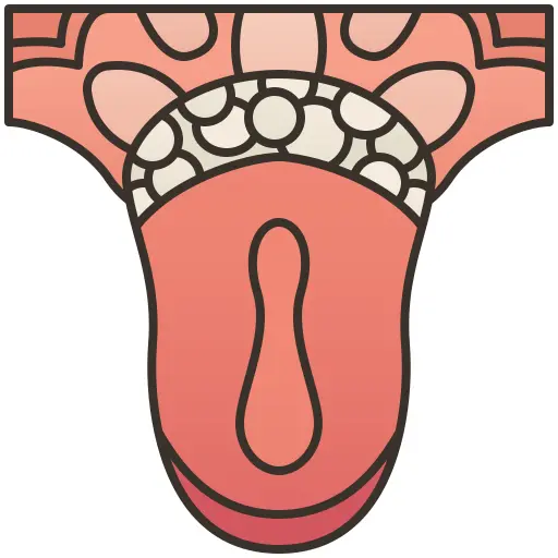 Tongue