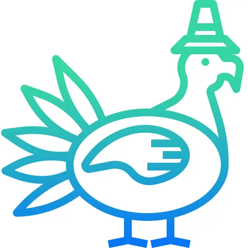 火鸡