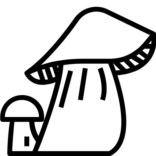Mushroom