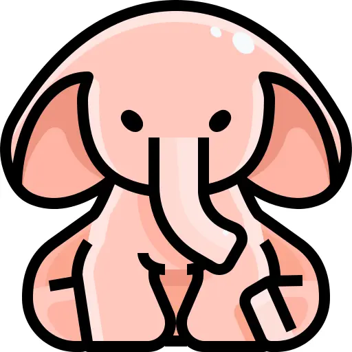 象
