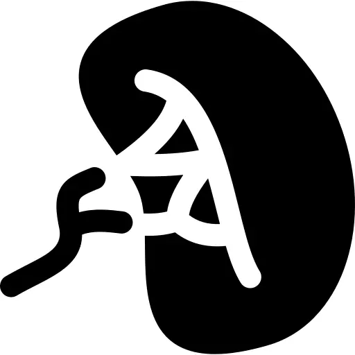 Spleen