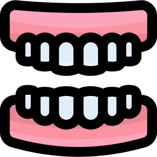 Teeth