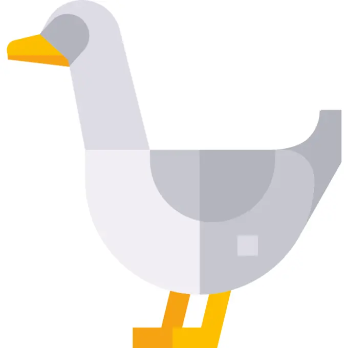 Goose