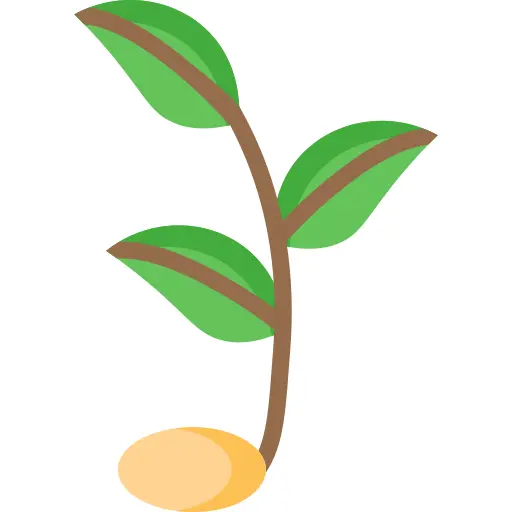 Sprout