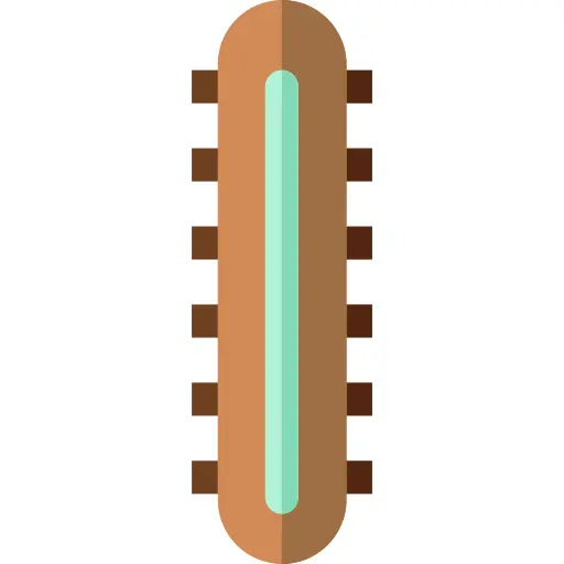 虫