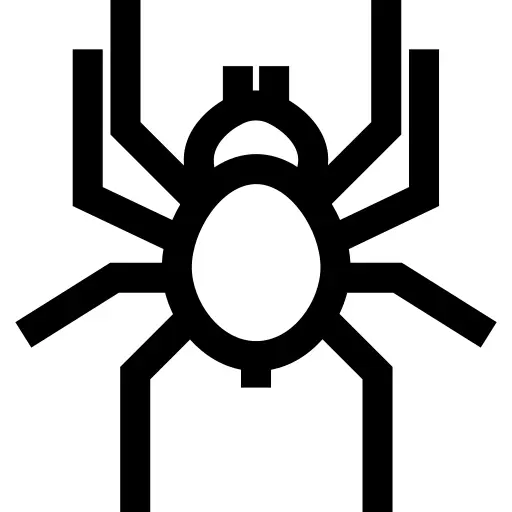 塔兰图拉毒蛛