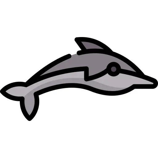 Dolphin
