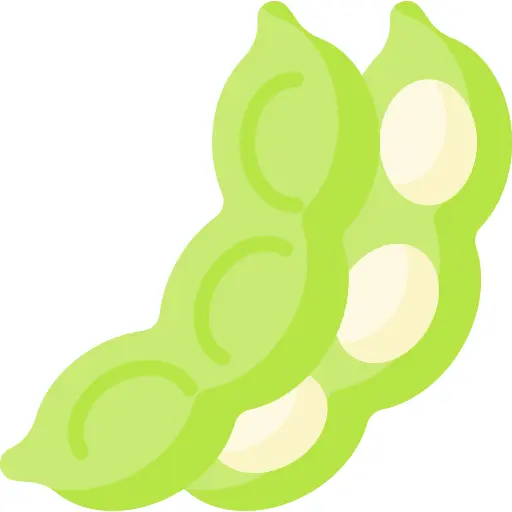 毛豆