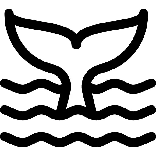 鲸