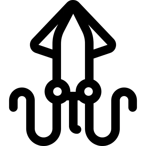 Squid
