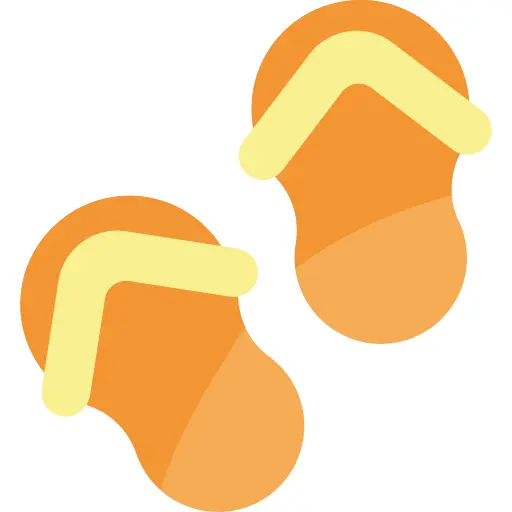 Flips flops