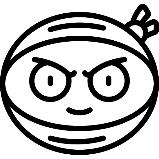 Ninja