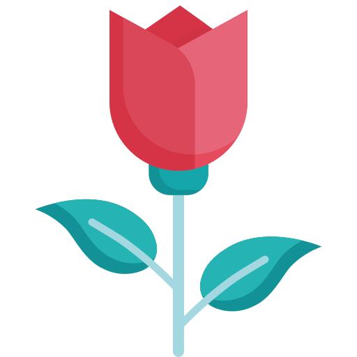 玫瑰花