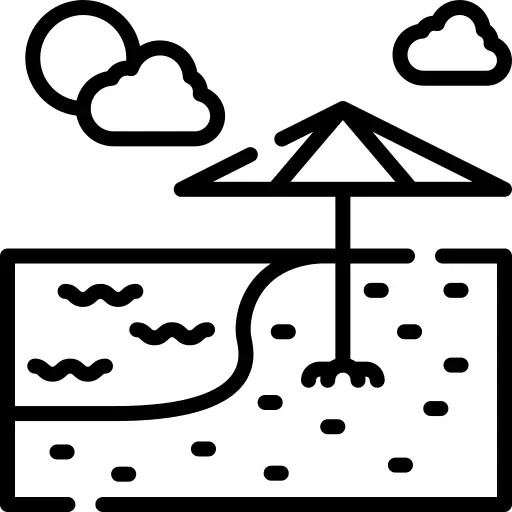 海滩
