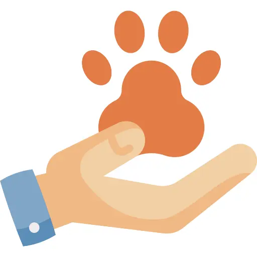 Pet insurance