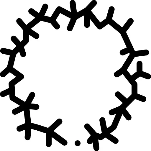 Crown of thorns