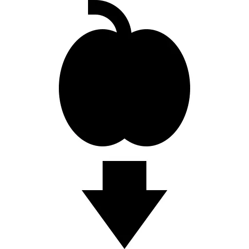 重力