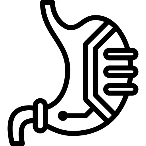 胃