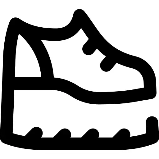 Shoe