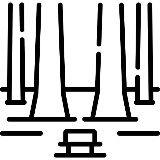 森林