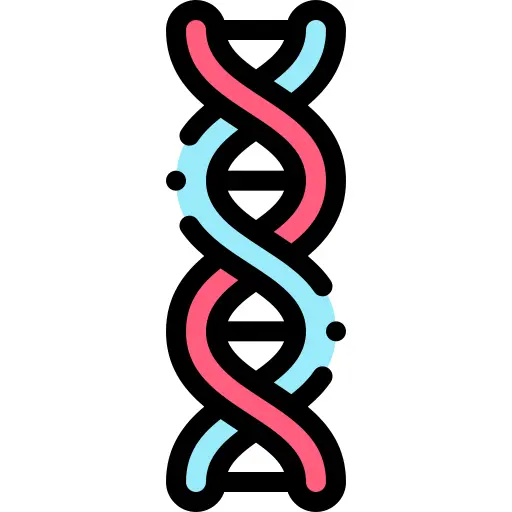 Dna