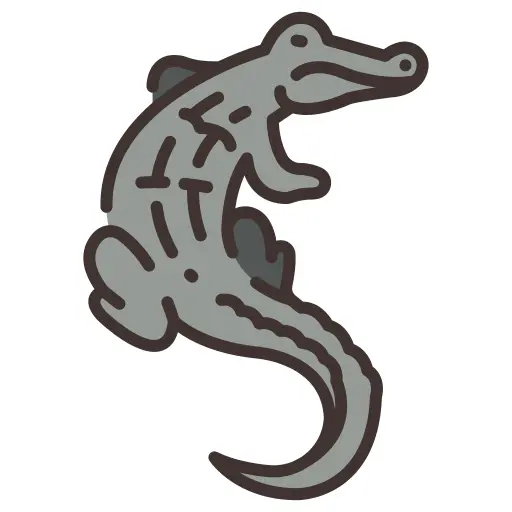 Crocodile