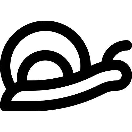 Snail